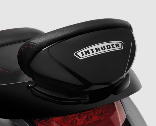 Closeup Shot of Pillion Backrest