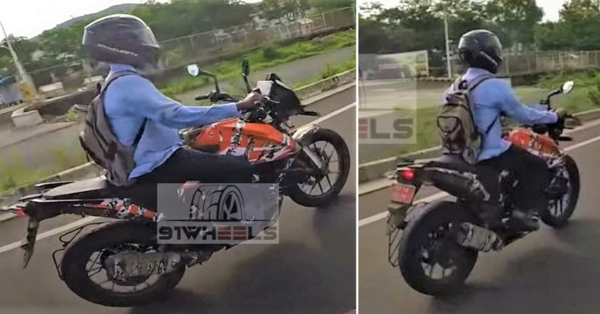 KTM 250 Adventure Spotted